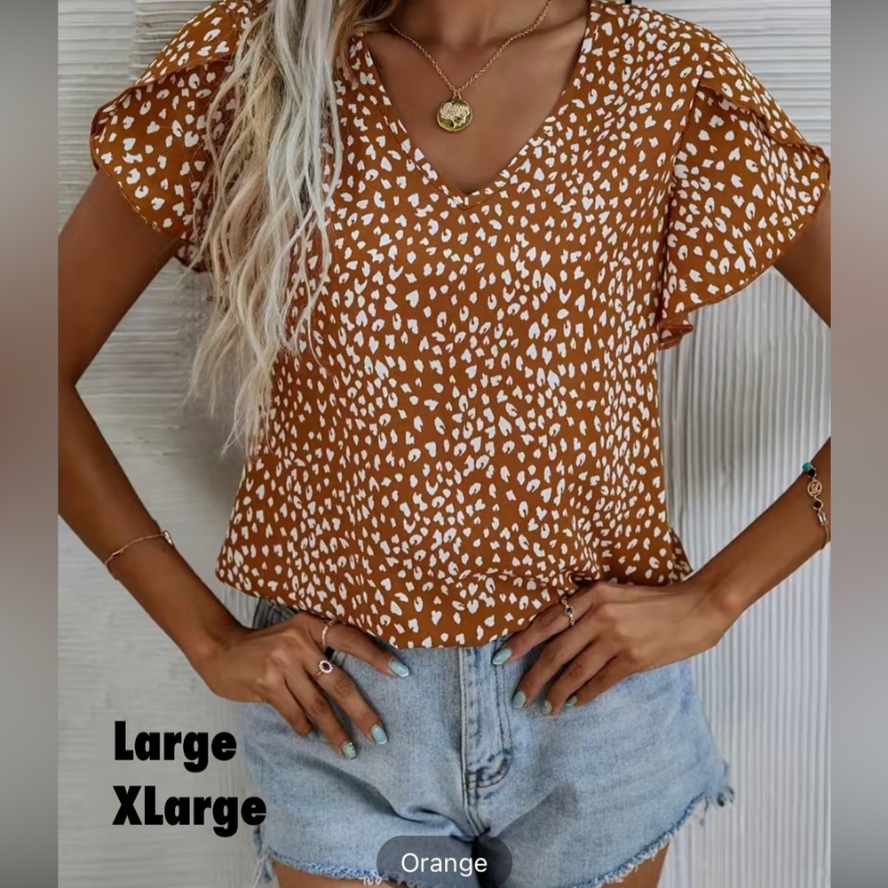 Women’s dress blouse.